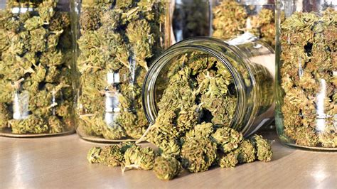 HAVEN Cannabis Marijuana and Weed Dispensary - San Bernardino. . Legal marijuana near me